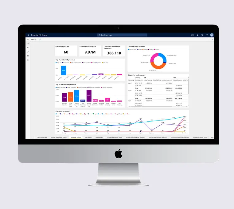 Enterprise Project Management Solution Case Study