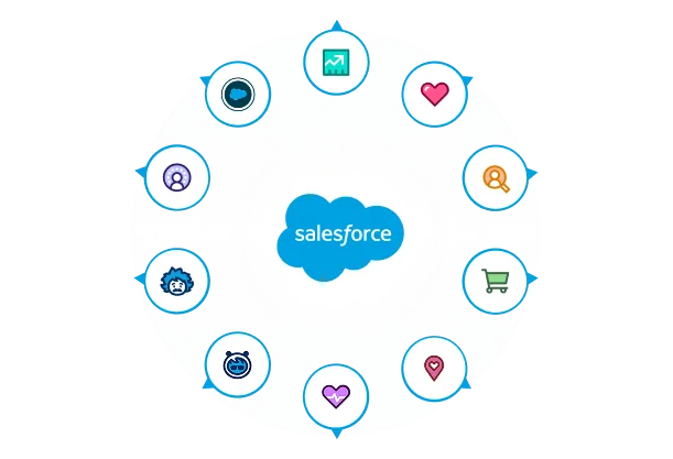 Salesforce Consultants