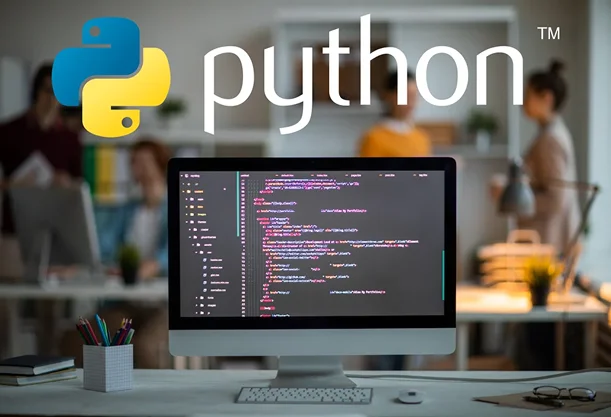 Our Python developers
