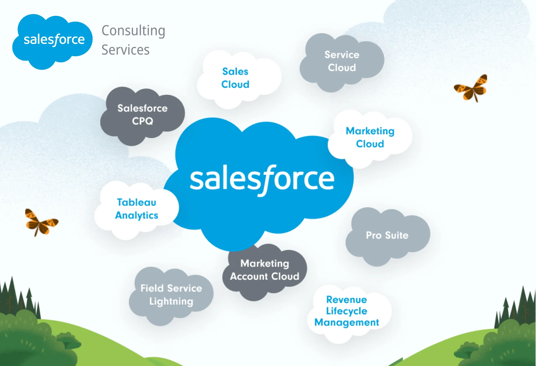 Salesforce Consulting Services