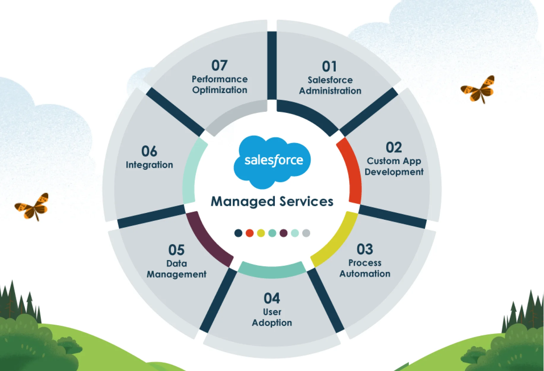 Salesforce Managed Services
